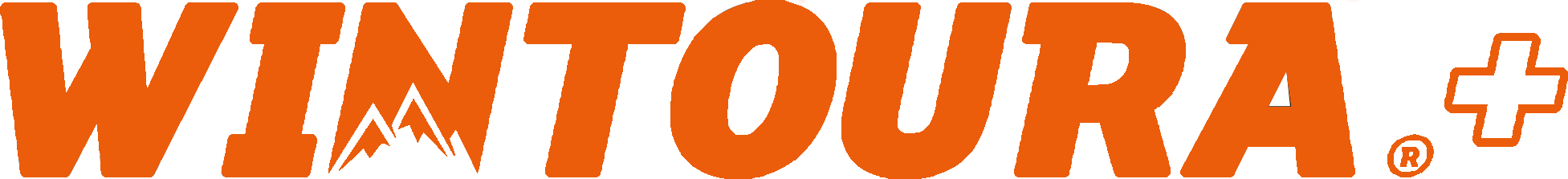 Davanti_Wintoura_Plus_logo-orange